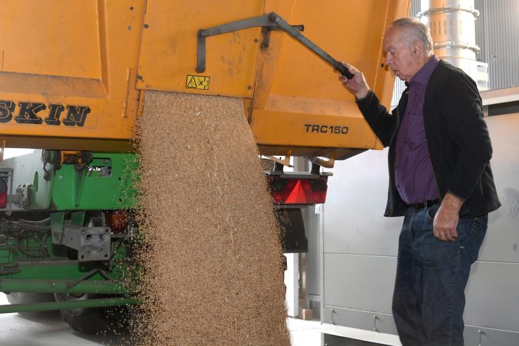 Getreideernte / Qualität zufriedenstellend, Quantität enttäuschend