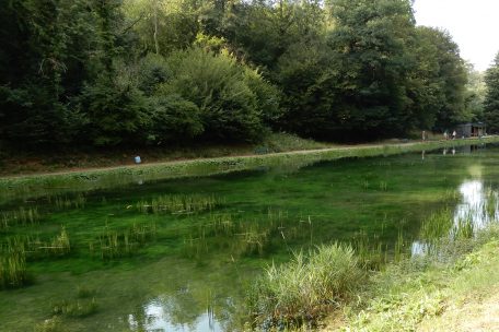 Das Wasser hat Trinkwasserqualit&auml;t