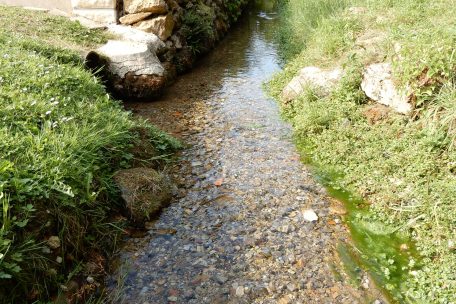 Die ersten paar Meter nach dem Weiher