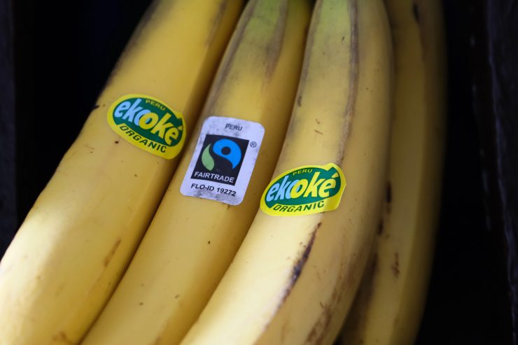 Fairtrade  / „Die Entscheidung fällt im Einkaufwagen“: NGO setzt sich für ein Lieferkettengesetz ein