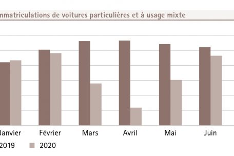Statistiken aus dem Bericht „Luxemburg in Zahlen 2020“, S. 59