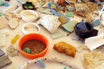 Umwelt / 5,6 Millionen Tonnen Mikroplastik: Synthetische Fasern belasten die Natur