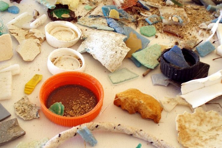 Umwelt / 5,6 Millionen Tonnen Mikroplastik: Synthetische Fasern belasten die Natur