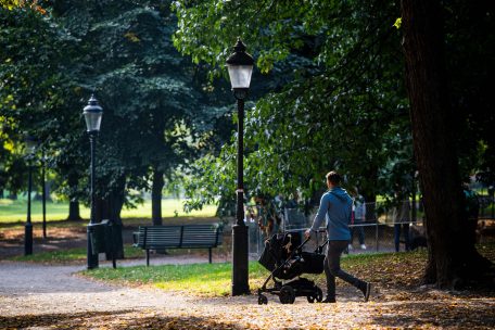 Künstliche Befruchtung / Niederländischer Gynäkologe zeugte 17 Kinder – ohne Wissen der Eltern