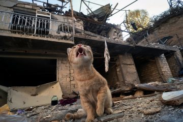 Krieg in Berg-Karabach / Trotz neuer Appelle zur Waffenruhe gibt es weiter Gefechte zwischen Armenien und Aserbaidschan