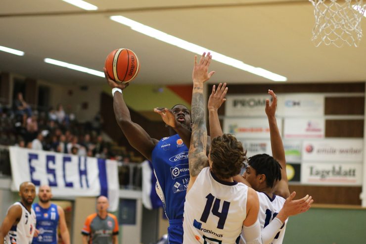 Basketball / Ettelbrücker Scharfschützen versenken Esch