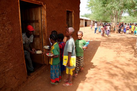 Standpunkt / Wie die Grüne Revolution Afrika schadet