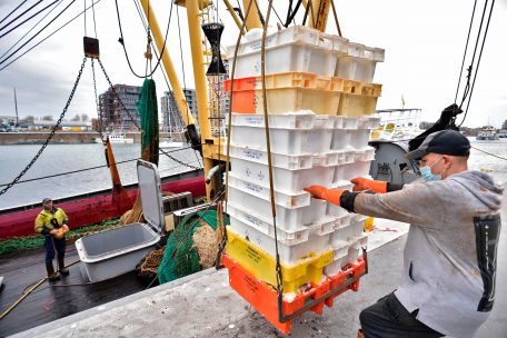 Brexit-Verhandlungen / Offenbar wachsende Kompromissbereitschaft beider Seiten