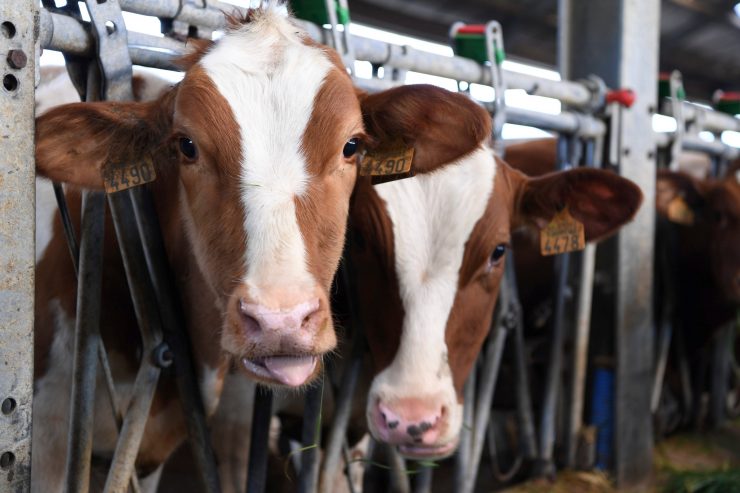 EU-Parlament / Mehrheit der Abgeordneten für umstrittene Agrarreform