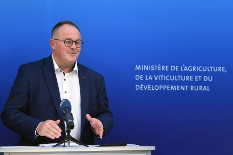 Hilfe für die Landwirtschaft / Fleischproduzenten und Winzer besonders betroffen