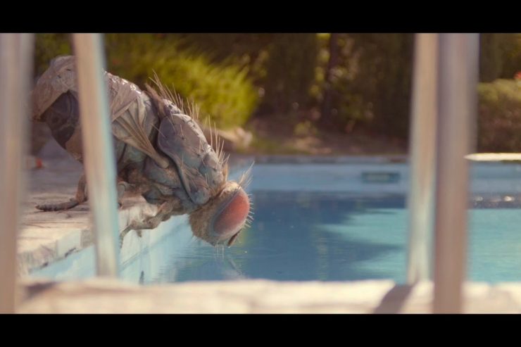 Film / Taureau chef-d’œuvre: Quentin Dupieux revient avec „Mandibules“, une excellente comédie déjantée