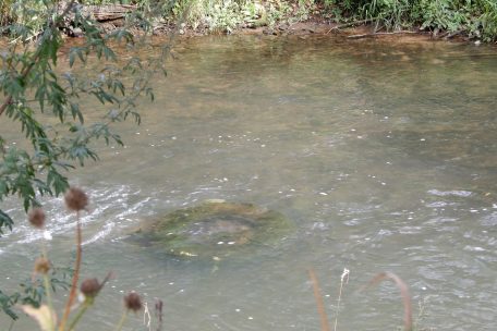 Autoreifen in der Alzette &ndash; leider kein seltener Anblick