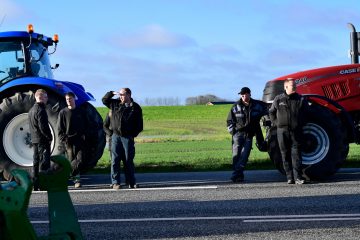 Dänemark / Mehr als 200 Menschen mit neuer Corona-Variante infiziert – Regierung lässt Millionen Nerze töten