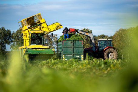 Forum / GAP-Reform und Eco-Schemes: Die EU-Agrarpolitik ist klassisches Terrain permanenter Debatten