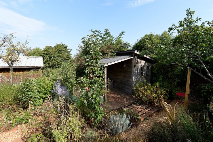 Schrebergärten auf dem „Gaalgebierg“ / Ordnung schaffen ist nicht so einfach