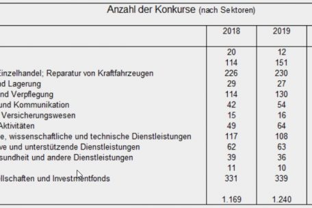Aufteilung der Pleiten nach Wirtschaftssektor