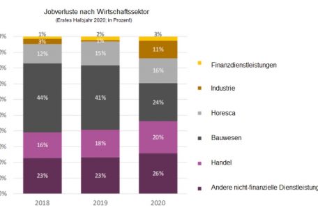 Aufteilung der Konkurs-bedingten Jobverluste im ersten Halbjahr&nbsp;