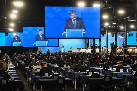 Rechtspopulisten / Meuthen liest seiner AfD die Leviten: Vorsitzender sorgt beim Parteitag für Eklat