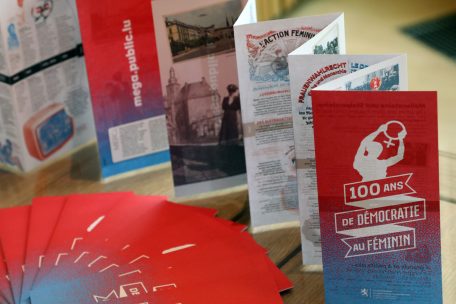 Nationaler Aktionsplan für Gleichstellung / CCDH kritisiert: „PEGA nicht mega“