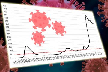 Corona in Luxemburg  / Die Pandemie in Grafiken