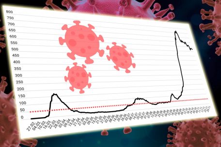 Corona in Luxemburg  / Die Pandemie in Grafiken