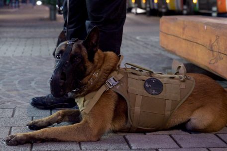 Stad Lëtzebuerg / Experte: Private Sicherheitsleute könnten die öffentliche Staatsgewalt untergraben