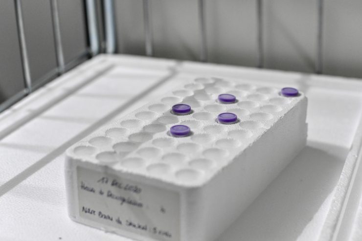 Belgien / Vertrauliche Corona-Impfstoff-Preise versehentlich veröffentlicht