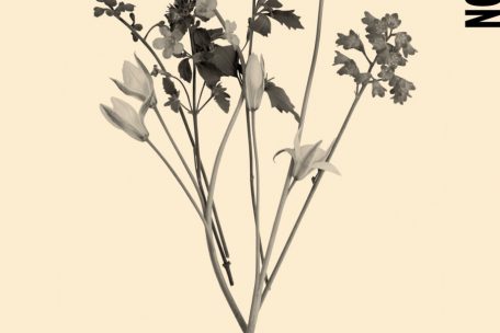 Littérature / Les voix précieuses de Faïza Guène et Fatima Daas