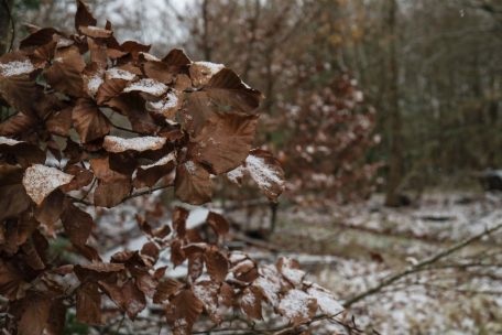 Übersterblichkeit / Vergangenen November starben in Luxemburg deutlich mehr Menschen als in den Vorjahren