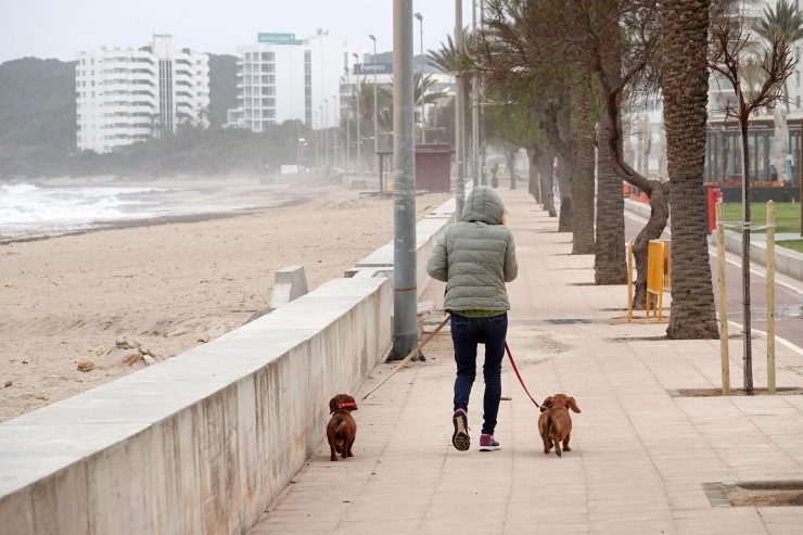 Tourismus / Drastische Corona-Maßnahmen auf Mallorca und Ibiza in Kraft