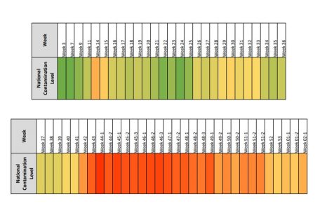 Die Verseuchung der Luxemburger Abwässer im Laufe des Jahres auf einen Blick (Quelle: Luxembourg Institute of Science and Technology, Bearbeitung durch Tageblatt.lu)