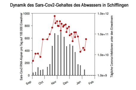 Schwankung oder ein Trend, der sich festigt? Die Werte für Schifflingen werden besonders beobachtet (rote Punkt-Linie: Virenaufkommen, graue Säulen: Infektionen unter den Einwohnern in Mittelwerten / Quelle: Luxembourg Institute of Science and Technology, Beschriftung übersetzt durch Tageblatt.lu)