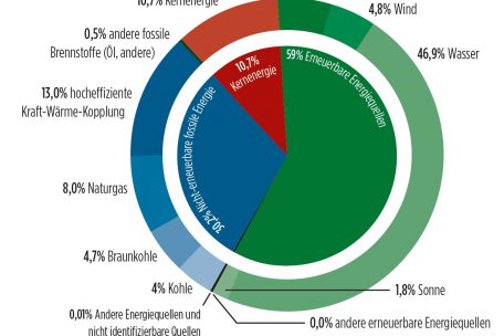 Zusammensetzung des Luxemburger Strommixes im Jahr 2019