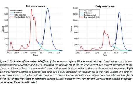 Die Forscher von Research Luxembourg haben den möglichen Effekt von B.1.1.7 auf das Infektionsgeschehen in Luxemburg projiziert. Die Kurven zeigen den Sieben-Tage-Schnitt. Links im Bild das zukünftige Infektionsgeschehen, wie es mit den strengeren Maßnahmen von Mitte Dezember aussehen könnte. Rechts im Bild das Infektionsgeschehen bei lockeren Regeln, wie sie im Oktober galten.