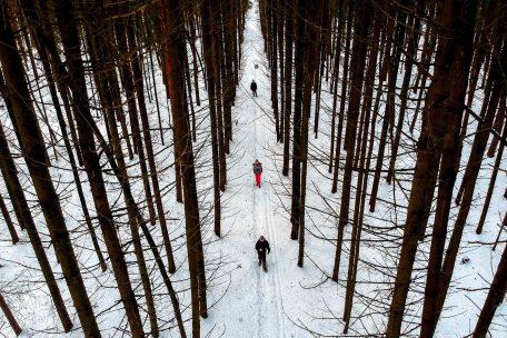 Waldspaziergang 75 Kilometer von Moskau entfernt:&nbsp;&bdquo;Man schickt Polizeibeamte in fremde Regionen, damit es keine Solidarisierungsversuche gibt&ldquo;