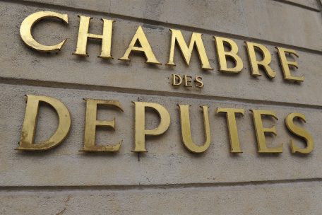 Depuis l’an 2005 la Chambre des députés travaille sur une révision globale de la Constitution