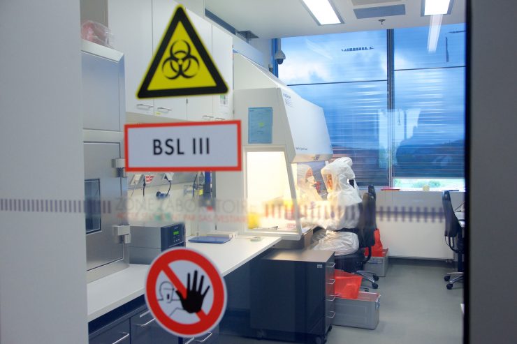 Britische Variante / „Santé“ meldet jetzt insgesamt 47 Fälle von B.1.1.7 in Luxemburg