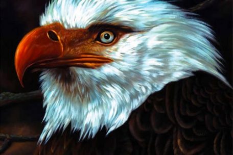 The Hawk Is Howling&ldquo; (2008), 8/10