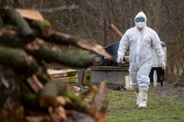Krankheit / Russland: Erste Fälle von Vogelgrippe-Virus H5N8 bei Menschen