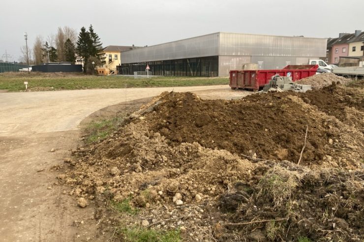 Fußball / Büste der AS Differdingen verschwunden: Wo ist „Bolchen“?