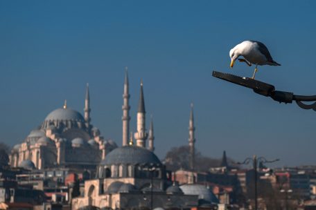 Islamismus / Wie Islam-Vereine weltweit bei Gedenkfeiern einem Antisemiten huldigen