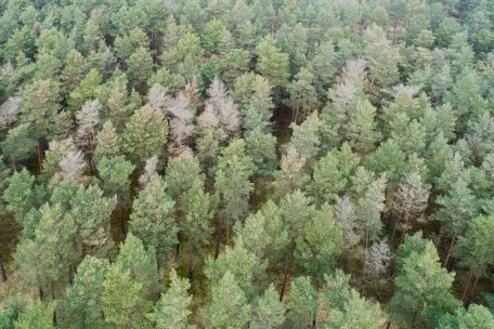 Forum / Überzogenes Gejammer um die Biodiversität