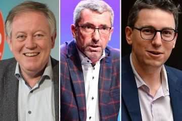 Freundeskreise & Co. / „Seltsame Konstrukte“: Brauchen Parteien endlich ihre eigene juristische Persönlichkeit?