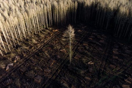 Standpunkt / Klima-Sicherheitsnetze für alle