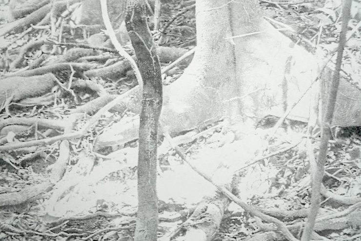 Kunstecke / April, April, er weiß nicht, was er will – oder …?