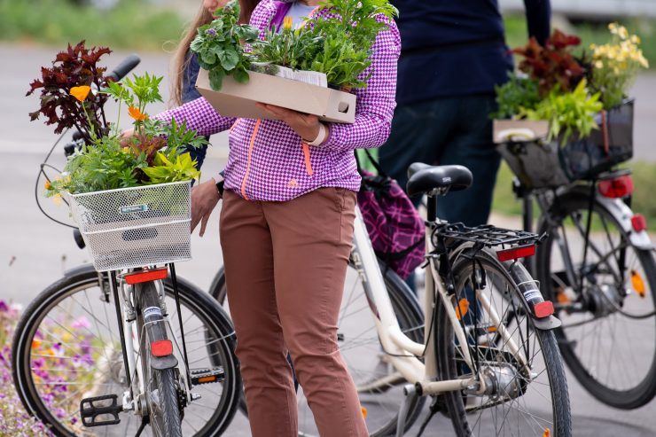 Bewegung / Raus mit dem Drahtesel bei Frühlingswetter