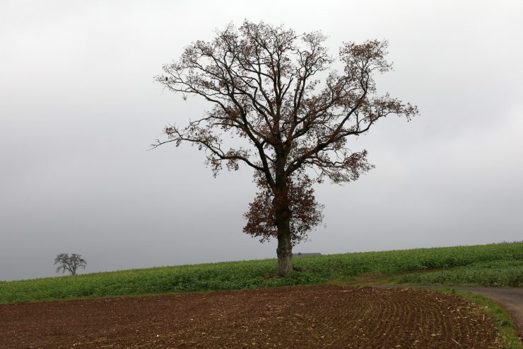 Schülerartikel / Klimawandel: Luxemburg ist keine Insel