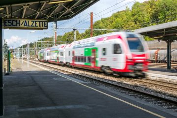 Landesverband / Green Deal bedeutet nicht nur E-Autos