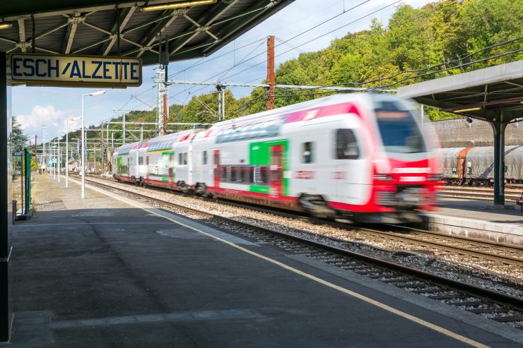 Landesverband / Green Deal bedeutet nicht nur E-Autos