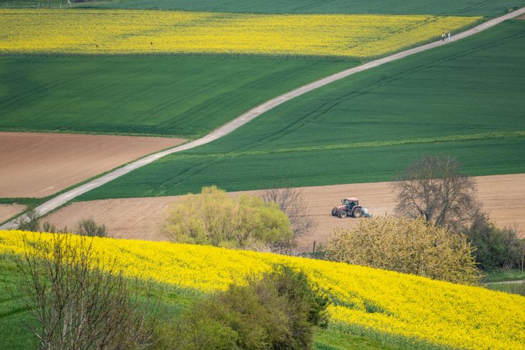 Leserbrief / Sie wollen nicht begreifen ... (Reaktion auf Antwort der Landwirtschaftskammer)